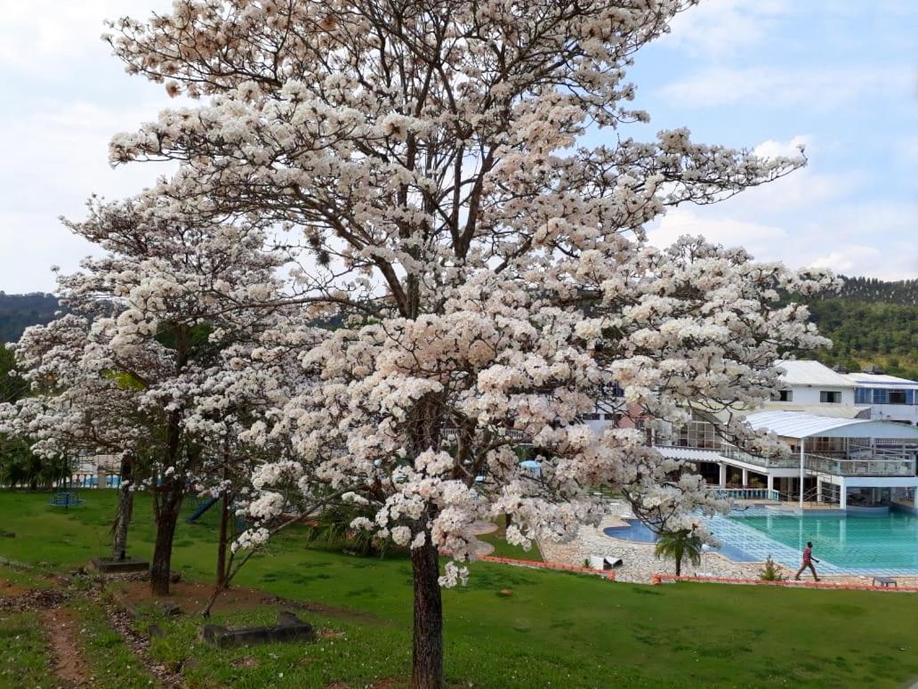 Vale Do Encantado Park Hotel Fazenda กัวราเรมา ภายนอก รูปภาพ
